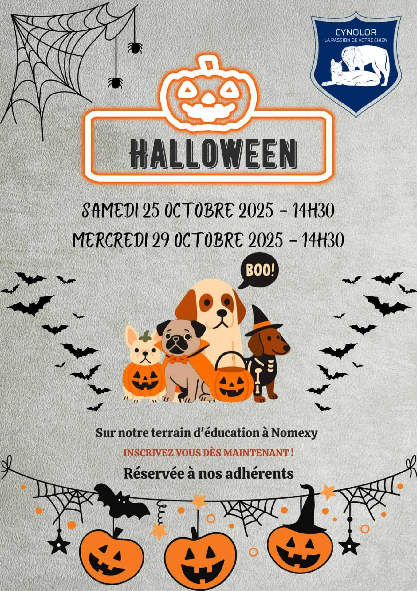 555411915 2072721023551230 3226392418283154936 n 1