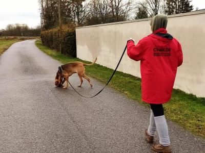 Entrainement du samedi 08 janvier 2022 a charmes secteur gare 39 1