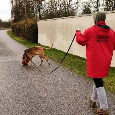 Entrainement du samedi 08 janvier 2022 a charmes secteur gare 39