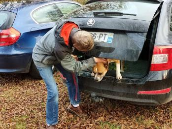Formation risques animalier canin du dimanche 14 novembre 2021 10