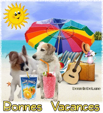 Image 0946180 20210705 ob f6be2e gif anime bonnes vacances avec deux c