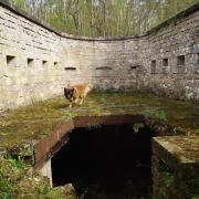 Manoeuvre fort d urimenil du dimanche 24 avril 2016 45