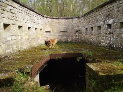 Manoeuvre fort d urimenil du dimanche 24 avril 2016 45